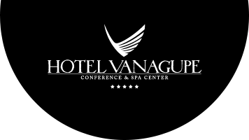 Marvellous New Year’s Eve 2019 | Hotel Vanagupė